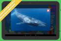 Children's encyclopedia — Woncy screenshot 12