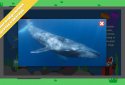 Children's encyclopedia — Woncy screenshot 5