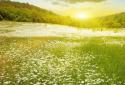 Coucher de soleil parfait screenshot 2
