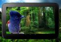 Birds 3D parallax live wallpaper screenshot 11