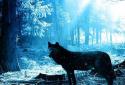 Wolves Night live wallpaper screenshot 3