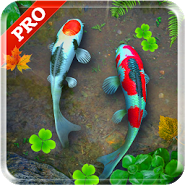 Koi Pond Live Wallpaper Pro