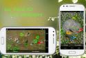 Koi Pond Live Wallpaper Pro screenshot 2
