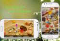 Koi Pond Live Wallpaper Pro screenshot 3