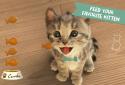 Little kitty screenshot 3