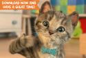 Little kitty screenshot 5