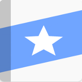 Remember: Translator & dictionary