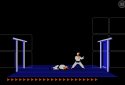 Karateka Classic screenshot 5
