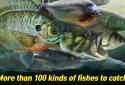 BIG FISH KING screenshot 2