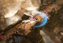 King Battle-Fighting Hero legend screenshot 2