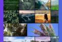 Canva is a Free Photo Editor & Graphic Design Tool screenshot 13