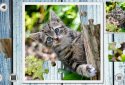 IMAGEine Premium screenshot 1