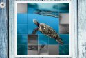 IMAGEine Premium screenshot 8