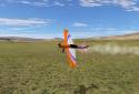 PicaSim: Flight simulator screenshot 1