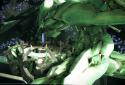 Returner Zhero  screenshot 7
