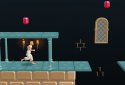 Prince of Persia : Escape screenshot 1