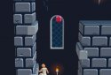 Prince of Persia : Escape screenshot 4