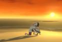 Storm Boy screenshot 2