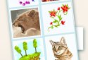 Pixyfy: color by number coloring book, pixel fun screenshot 9