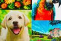 Cross Stitch Art screenshot 14