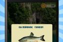 Good luck. Fishing. Free. screenshot 4