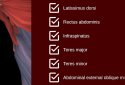 Muscular System 3D (anatomy) screenshot 5
