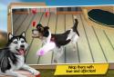 Premium Dog Hotel – Play with cute dogs screenshot 3