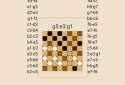 Checkers and chess screenshot 2