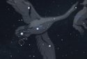 Stellarium Mobile PLUS - Star Map screenshot 14