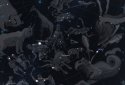 Stellarium Mobile PLUS - Star Map screenshot 9