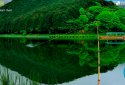 My Fishing World - fishing Realistic screenshot 7