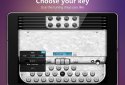 Accordion Diatonic screenshot 8