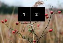 Digits - Widget shortcut to quickly open apps screenshot 4