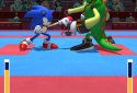 SONIC AT THE OLYMPIC GAMES - TOKYO 2020 screenshot 5