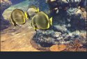 Pro Yi - Yi Action Camera screenshot 1