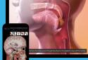 Human Anatomy Atlas 2026 screenshot 6