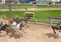 3 Athletics: Summer Sports screenshot 10