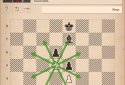 Learn Chess with Dr. Wolf screenshot 10