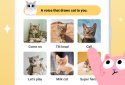 Cat&Dog Expert - Your Pet Communication Expert screenshot 4