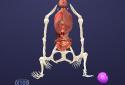 Idle Pet - Create cell by cell screenshot 4
