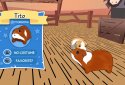Guinea Pig Bridge! screenshot 5