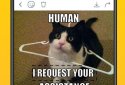 Memasik - Meme Maker Free screenshot 1