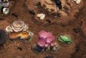 The Ants: Underground Kingdom screenshot 8