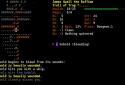 Dungeon Crawl:SS (ASCII) screenshot 1
