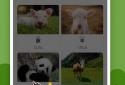 Learn basic Japanese Word and Grammar - HeyJapan screenshot 4