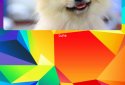 Simple Photo Widget screenshot 6