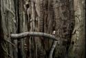 Samorost 2 screenshot 2