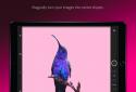 Adobe Capture: Creative Kit screenshot 2