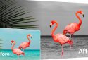 Color Pop effects photo editor screenshot 5