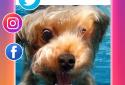 Video Downloader for Instagram screenshot 2